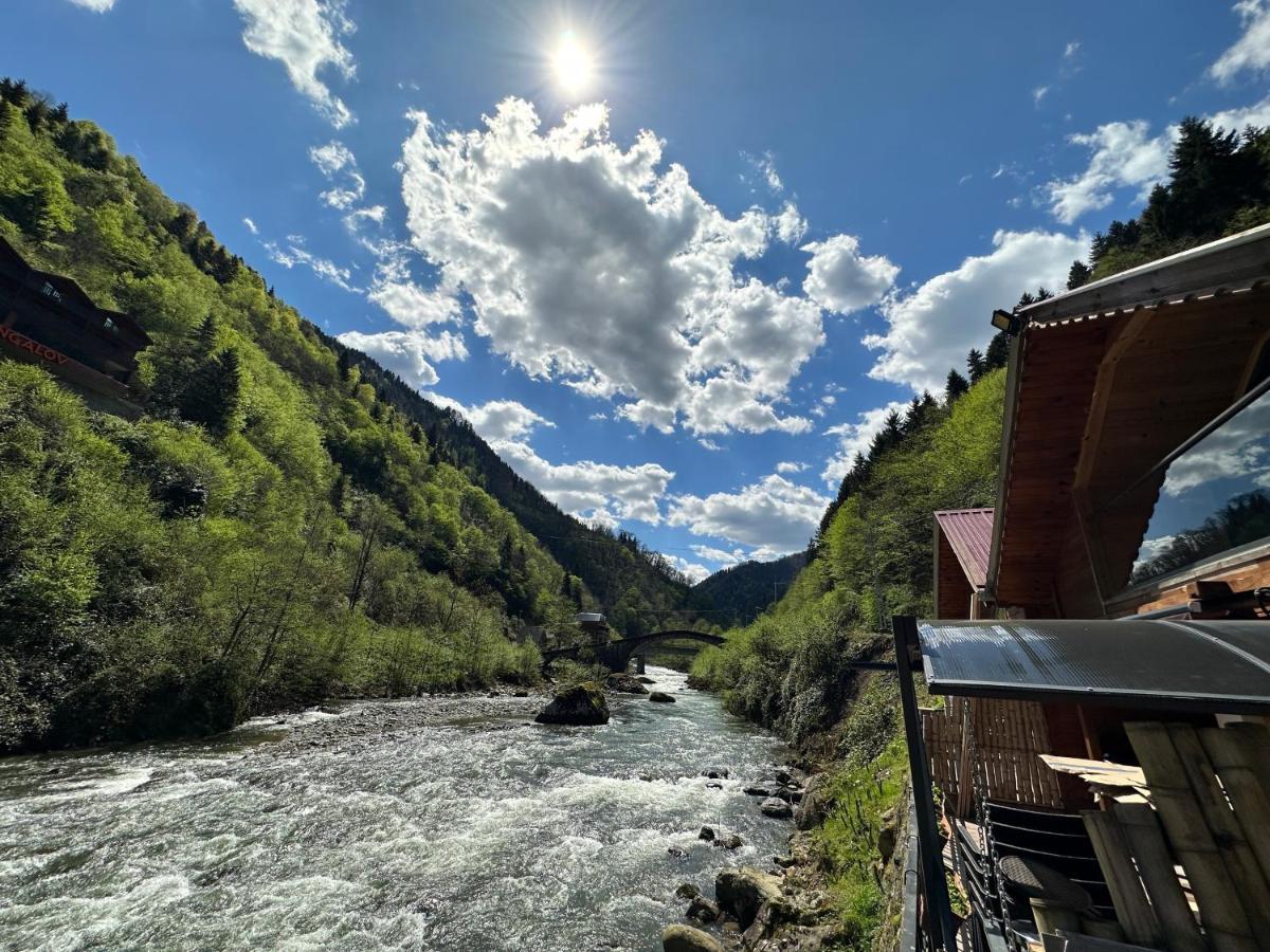 Tuva Villa Bungalov Çamlıhemşin Eksteriør bilde